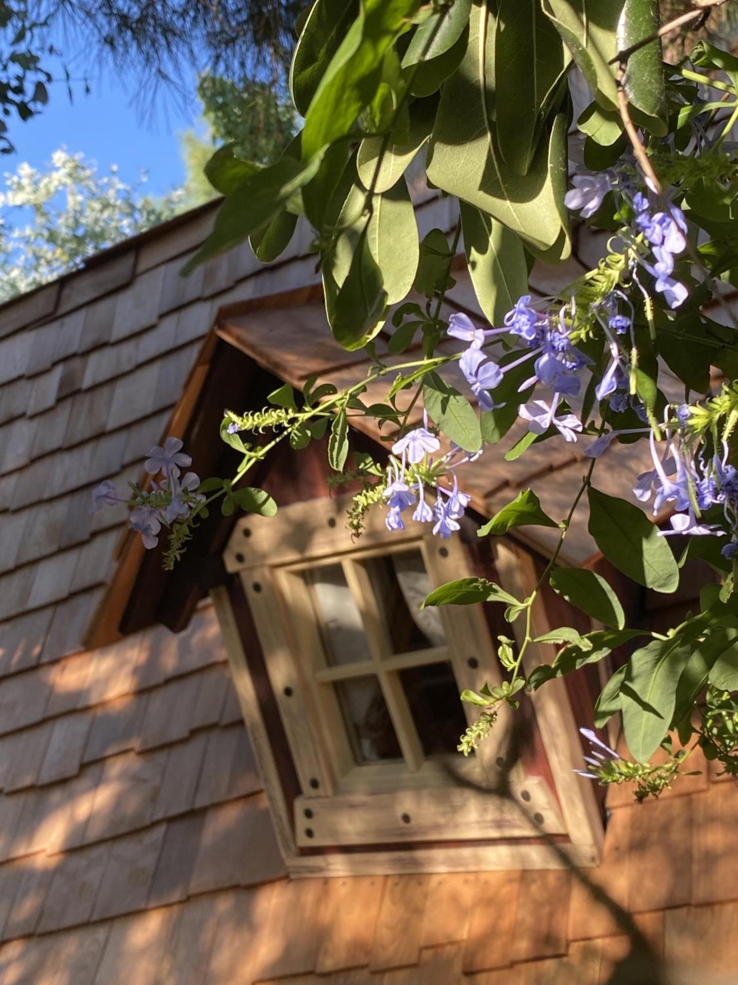 Mas Del Flor Bed & Breakfast Villelongue-dels-Monts ห้อง รูปภาพ